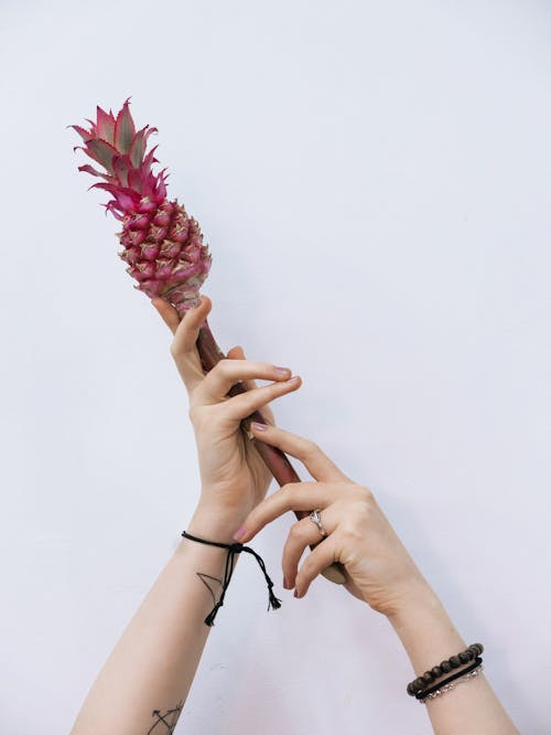 Kostnadsfria Kostnadsfri bild av ananas, händer, vertikalt skott Stock foto