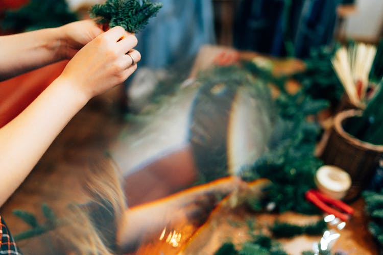 Womans Hands Holding Fake Conifer Branches