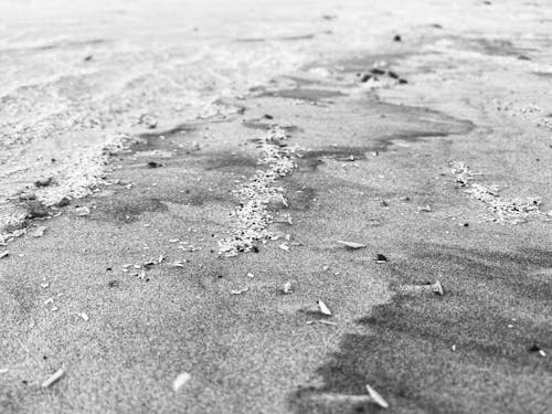 Ilmainen kuvapankkikuva tunnisteilla hiekkaranta, mustavalkoinen, mustavalkoinen tausta