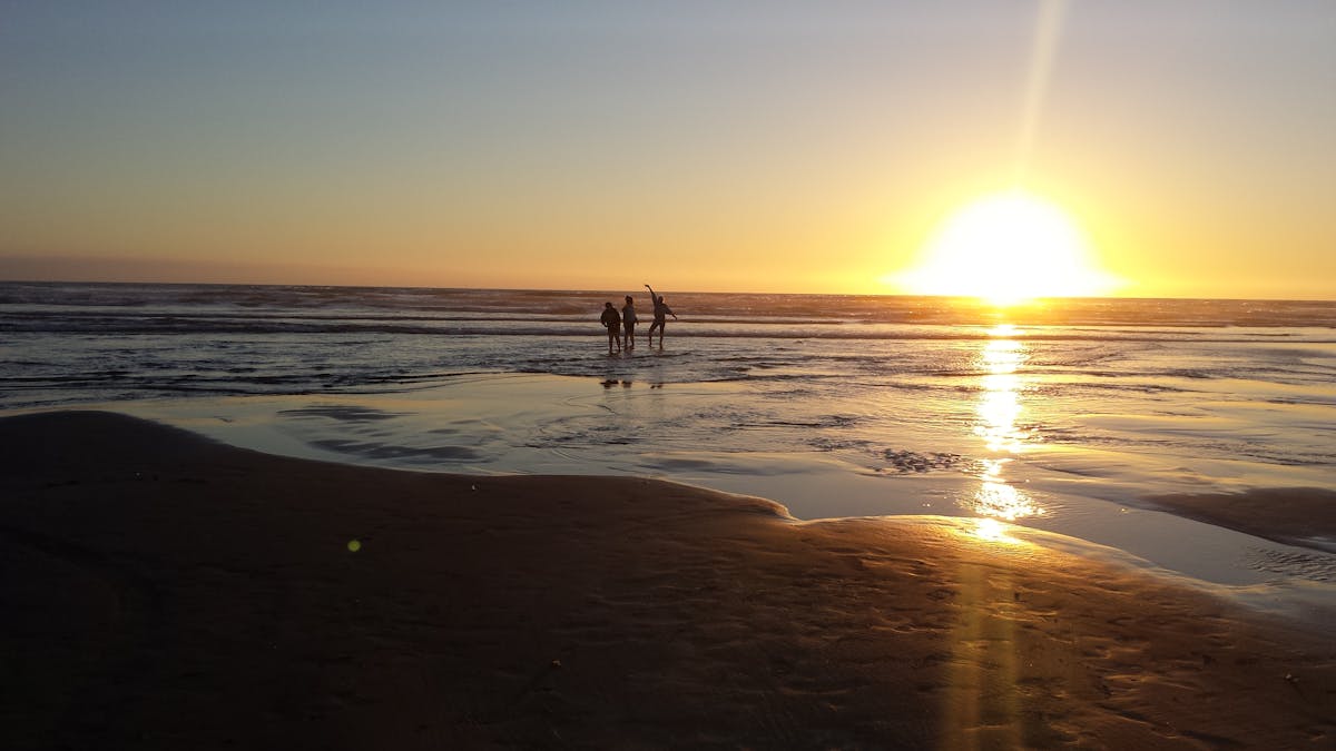 Programmer working with code and AI-related graphics