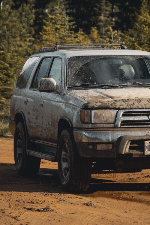 Free A rugged SUV covered in mud parked on a dirt road surrounded by dense forest. Stock Photo