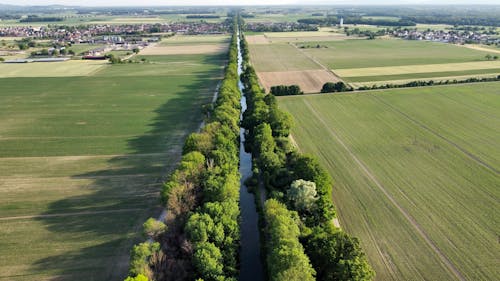 Aerial Photography of Water Channel in Between Trees