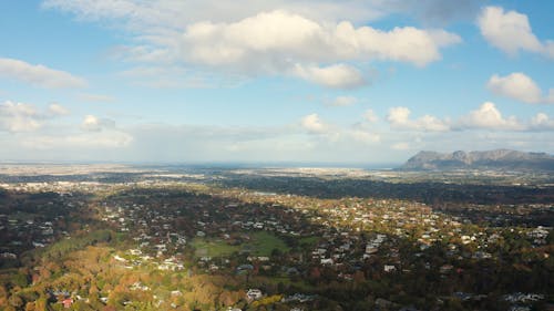 An Aerial Photography of Green Trees in the City