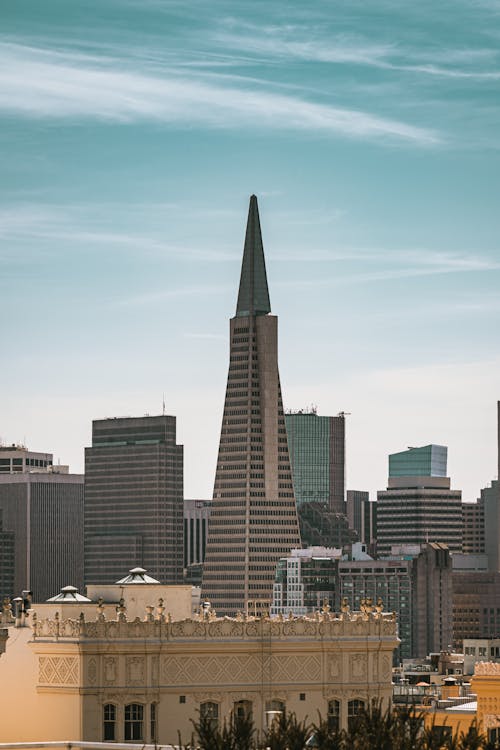 Buildings in the City