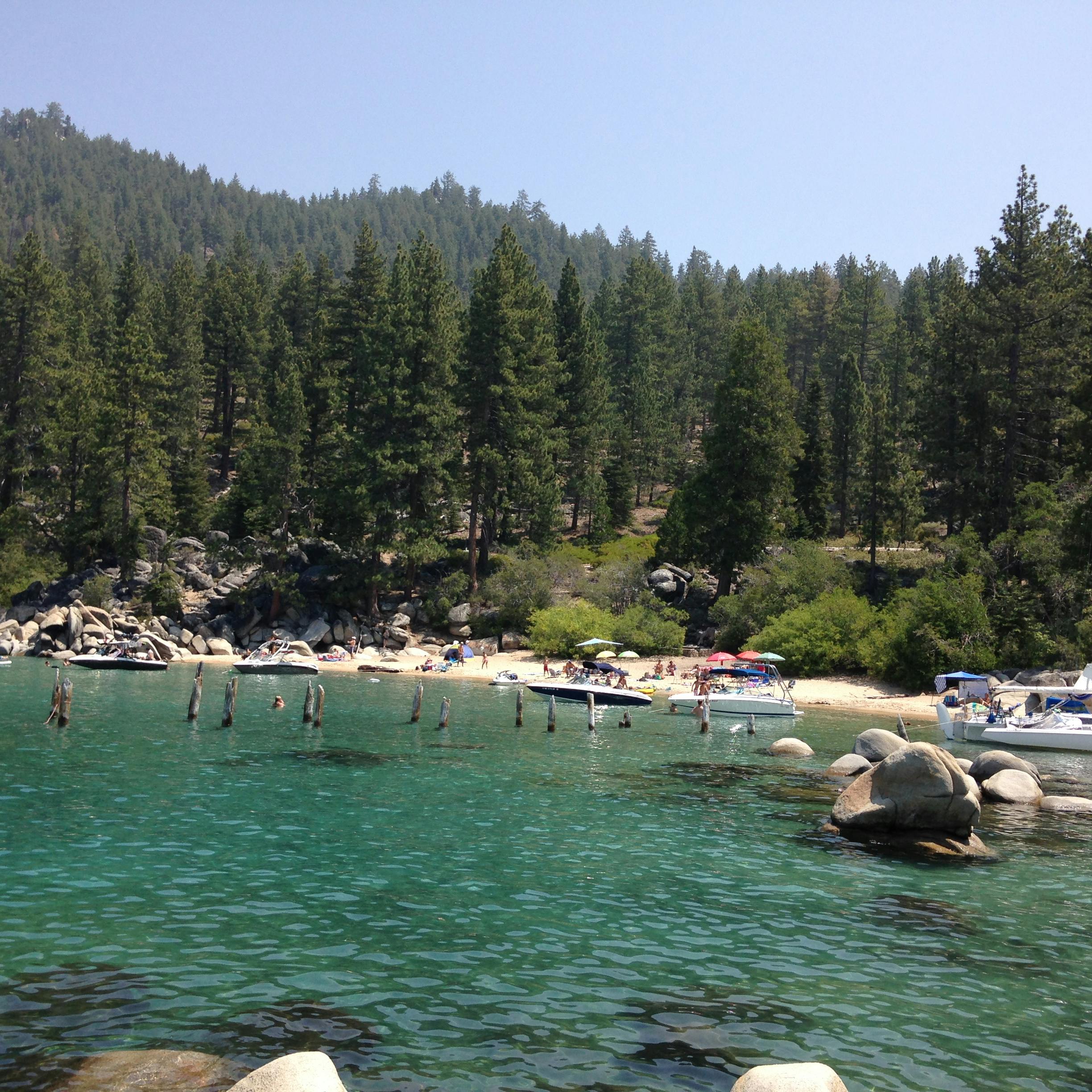 Free stock photo of beach, forest, Lake Tahoe