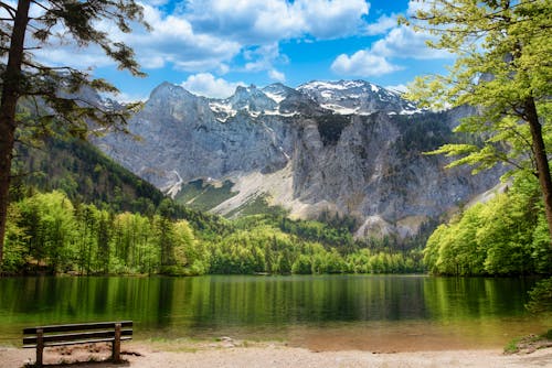 Scenic View of a Lake Near a Mountain