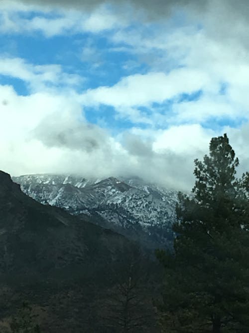 樹木, 雪, 雲 的 免費圖庫相片