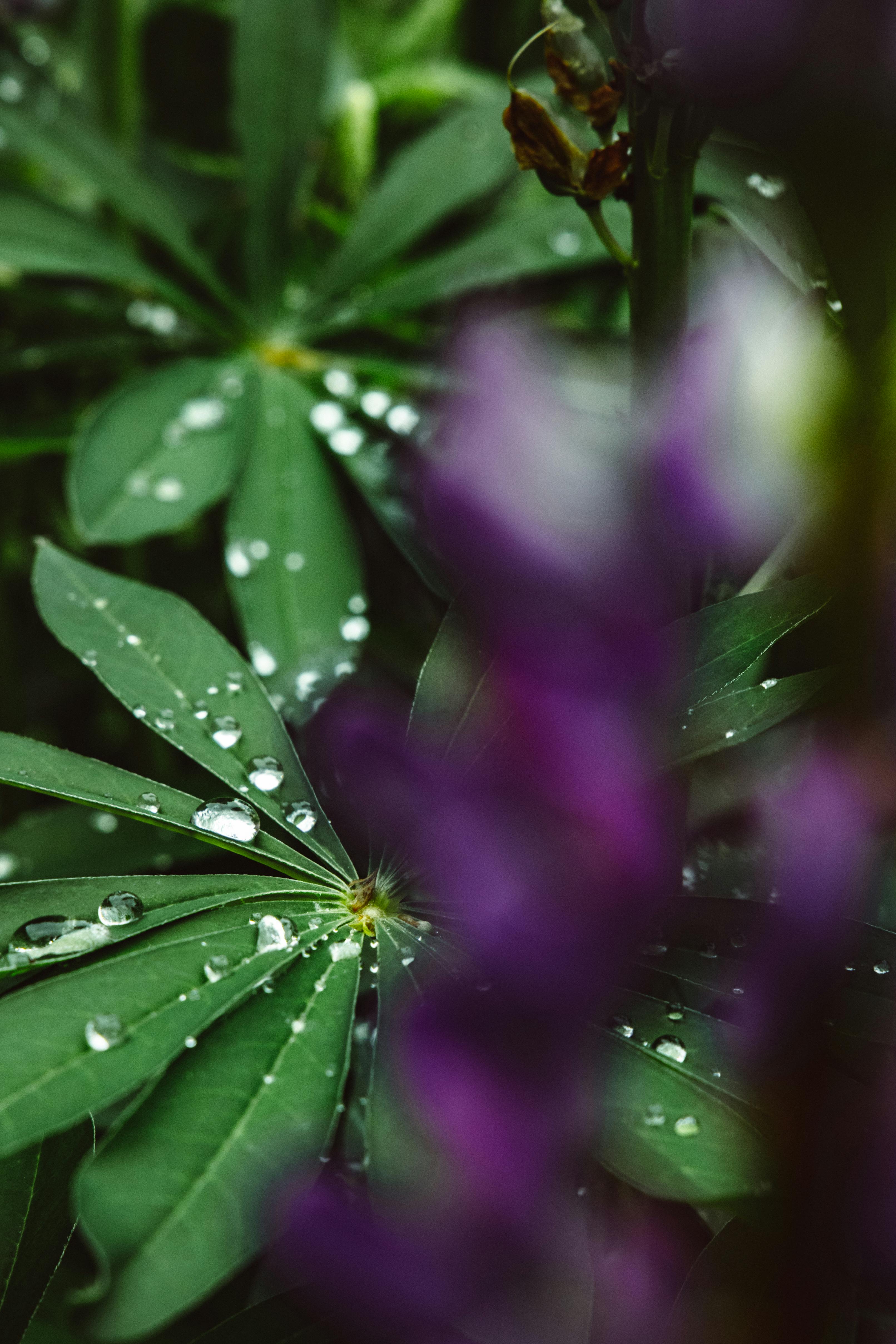 免費 冷, 和平的, 垂直拍攝 的 免費圖庫相片 圖庫相片