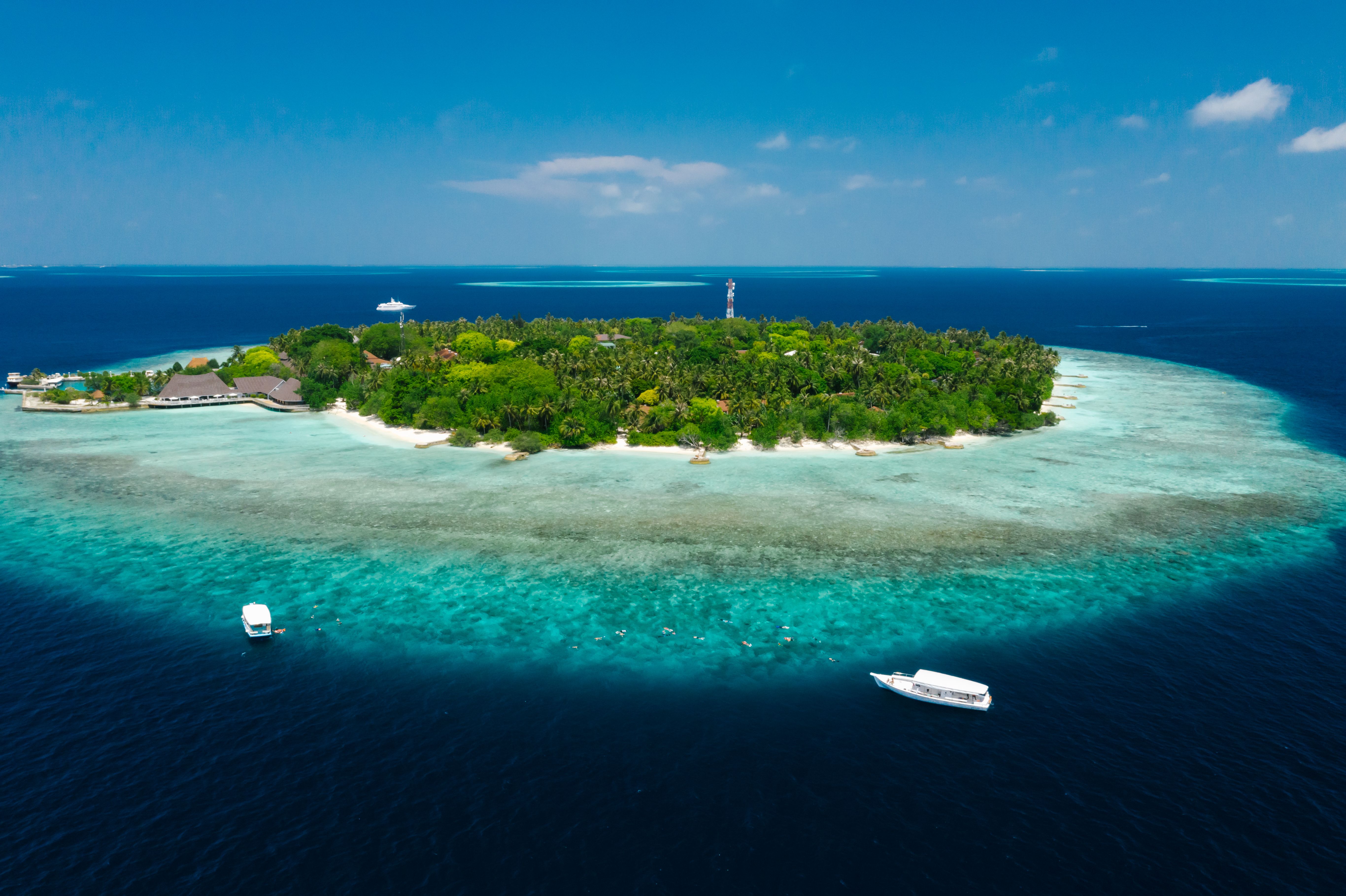 When to dive in Male, Maldives?