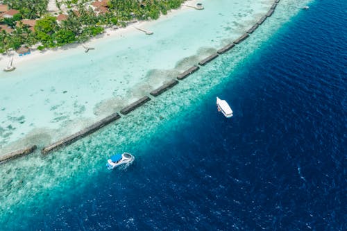 Foto d'estoc gratuïta de arbres, barques, foto des d'un dron