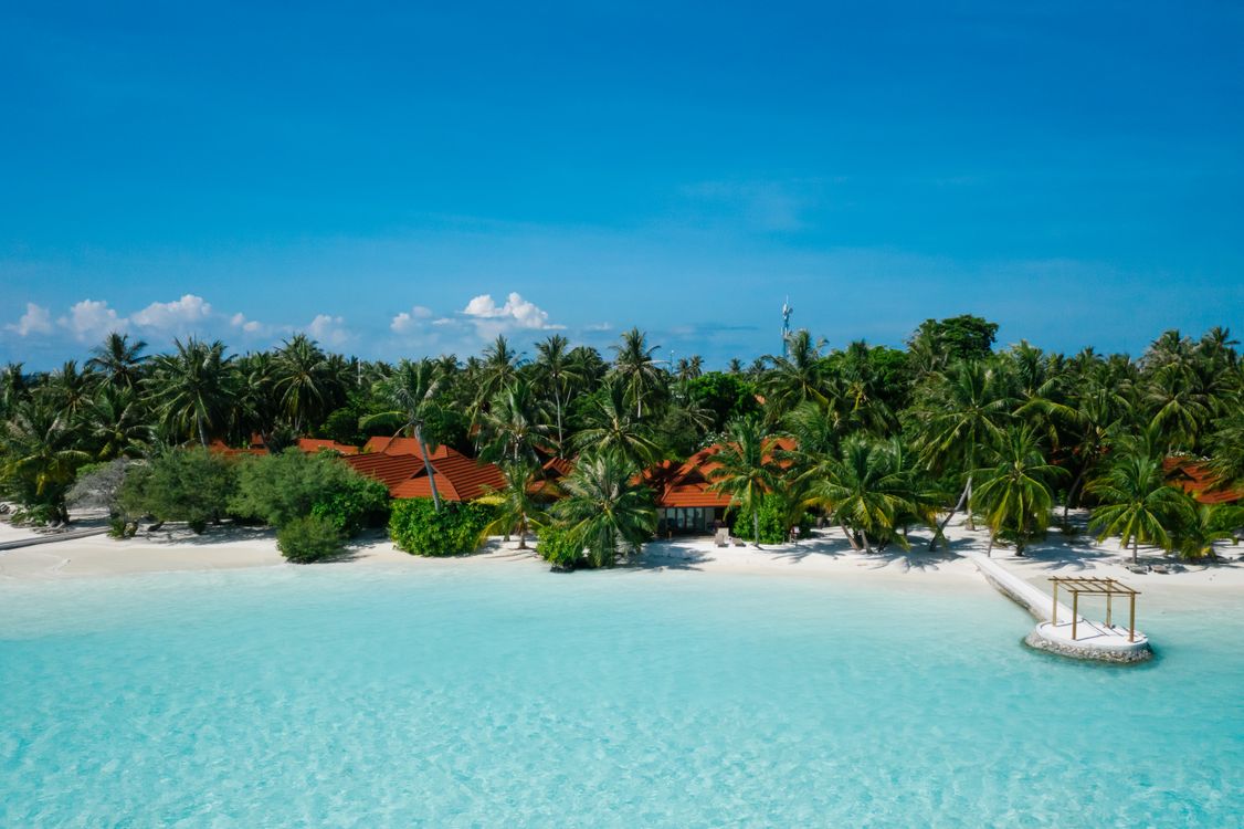 Bavaro Beach at sunset with vibrant hues and palm trees.