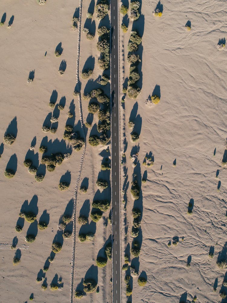 Aerial View Of The Road In Desert