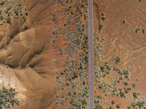 Aerial Shot of a Road