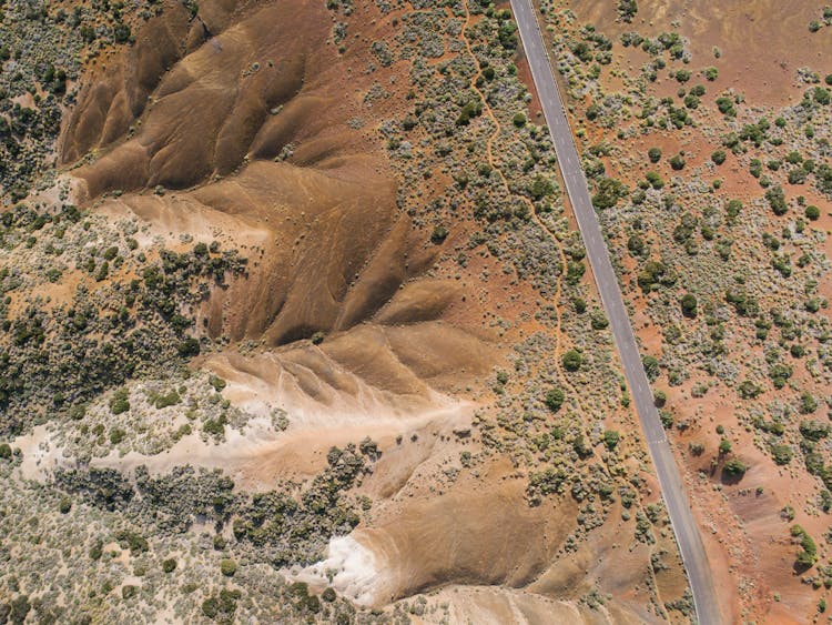 Aerial View Of Road Between Trees