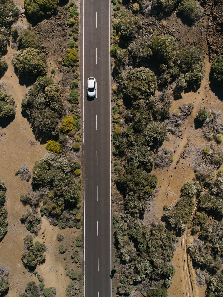 Aerial View Of Car On The Road 