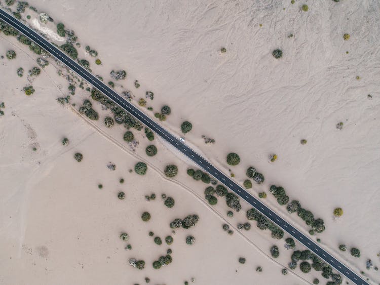 View Of The Driveway In Desert