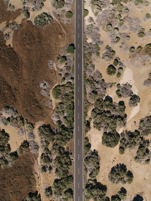 Foto d'estoc gratuïta de carretera, desert, foto aèria