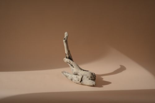 Free A driftwood sculpture casting a shadow on a minimal beige background, enhancing natural design. Stock Photo