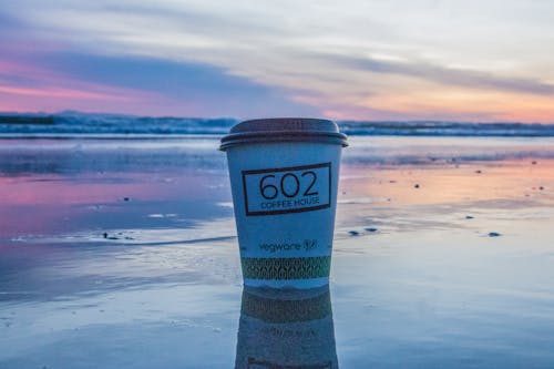 Free stock photo of coffee, colors, sunset