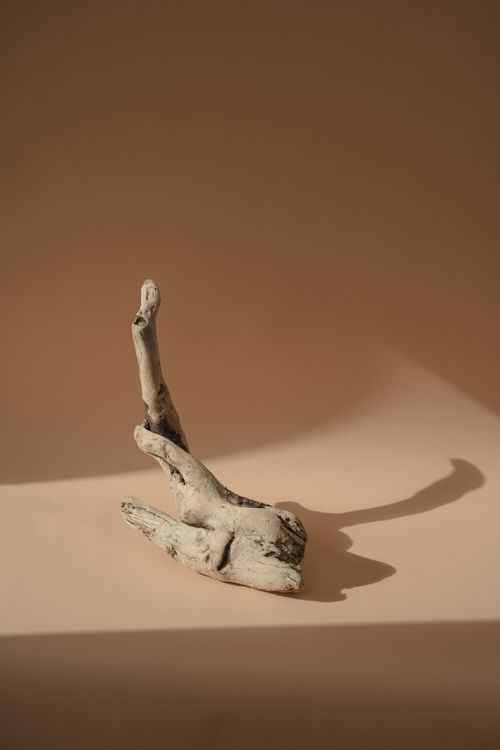 Free Artistic capture of driftwood casting a shadow on a neutral beige background, highlighting texture and form. Stock Photo