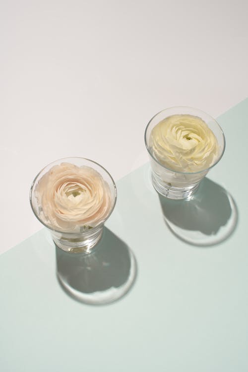 White Roses Inside the Clear Drinking Glasses 