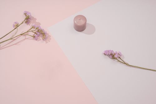 Free A minimalist composition featuring a pink candle and delicate flowers on a pastel background. Stock Photo