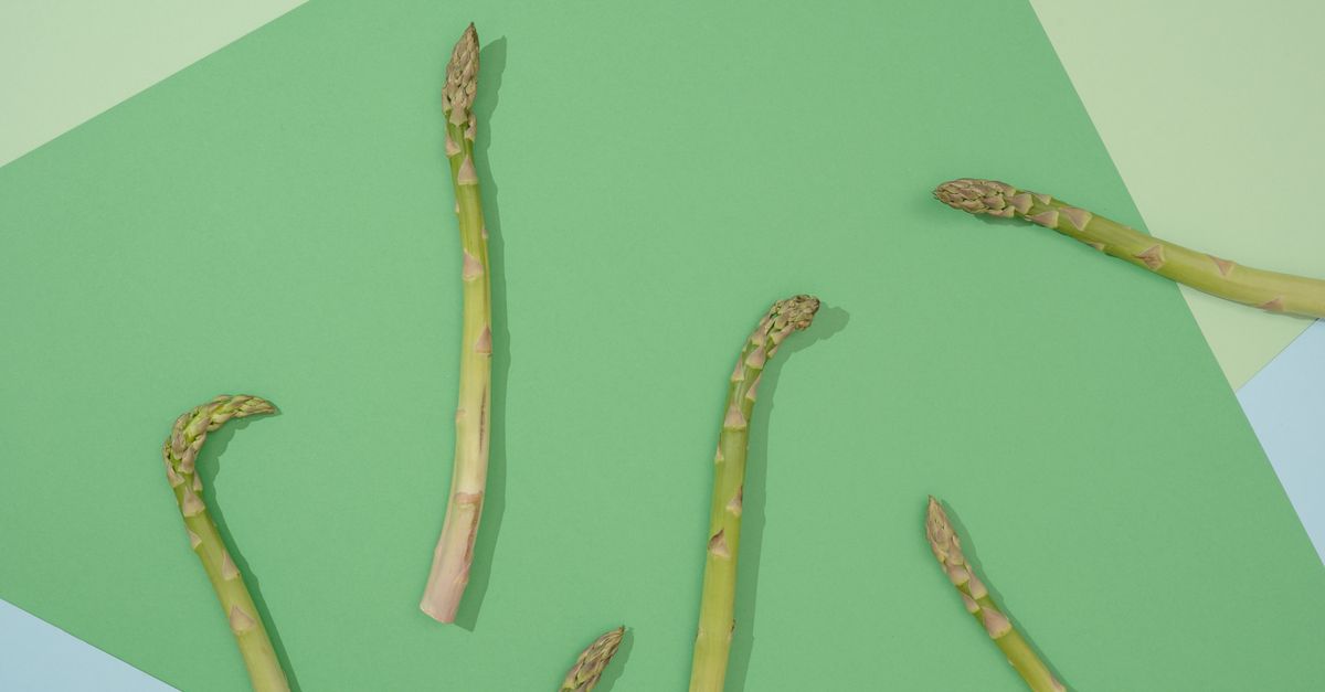 Artistic arrangement of asparagus spears on a geometric green paper background. - Evidence evidence guide for folate mood randomized trial