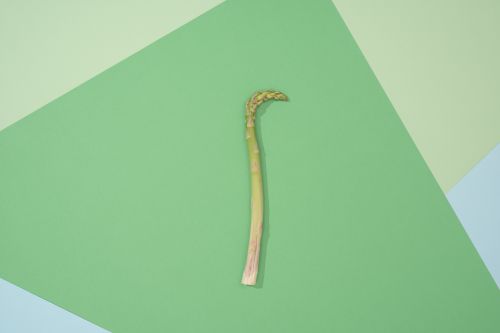 Free Abstract flat lay of a single green asparagus on color-blocked green backdrop. Stock Photo