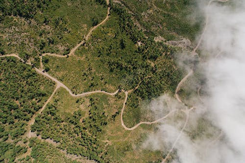 ağaçlar, bulutlar, doğa içeren Ücretsiz stok fotoğraf