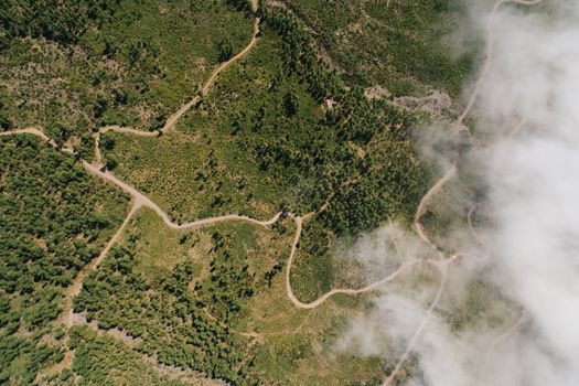 Drone shot capturing winding paths through a dense green forest bordered by clouds.