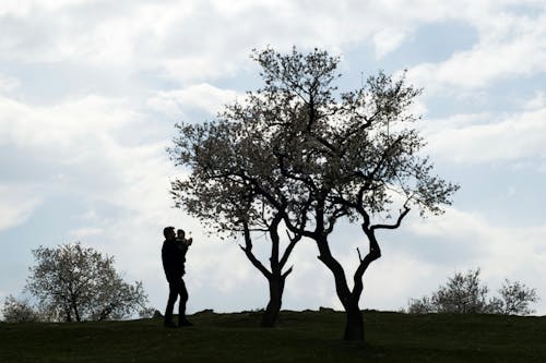 Silhouette of a Father and Child Standing near the Tree