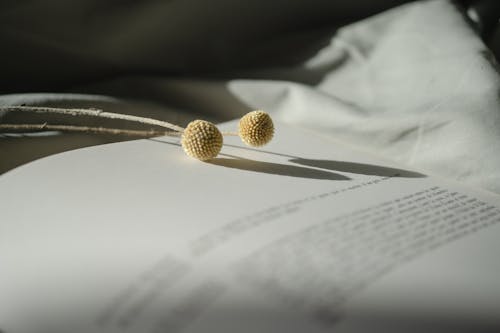 Dried Craspedia Flowers on an Open Book