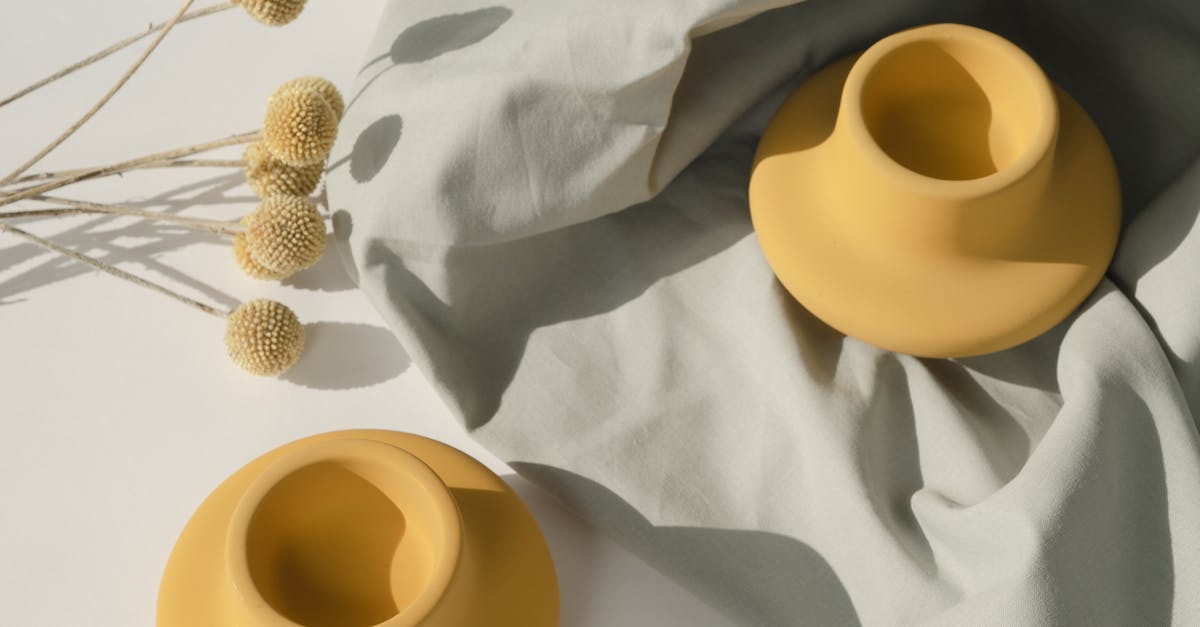 How to dry out flowers and keep their color