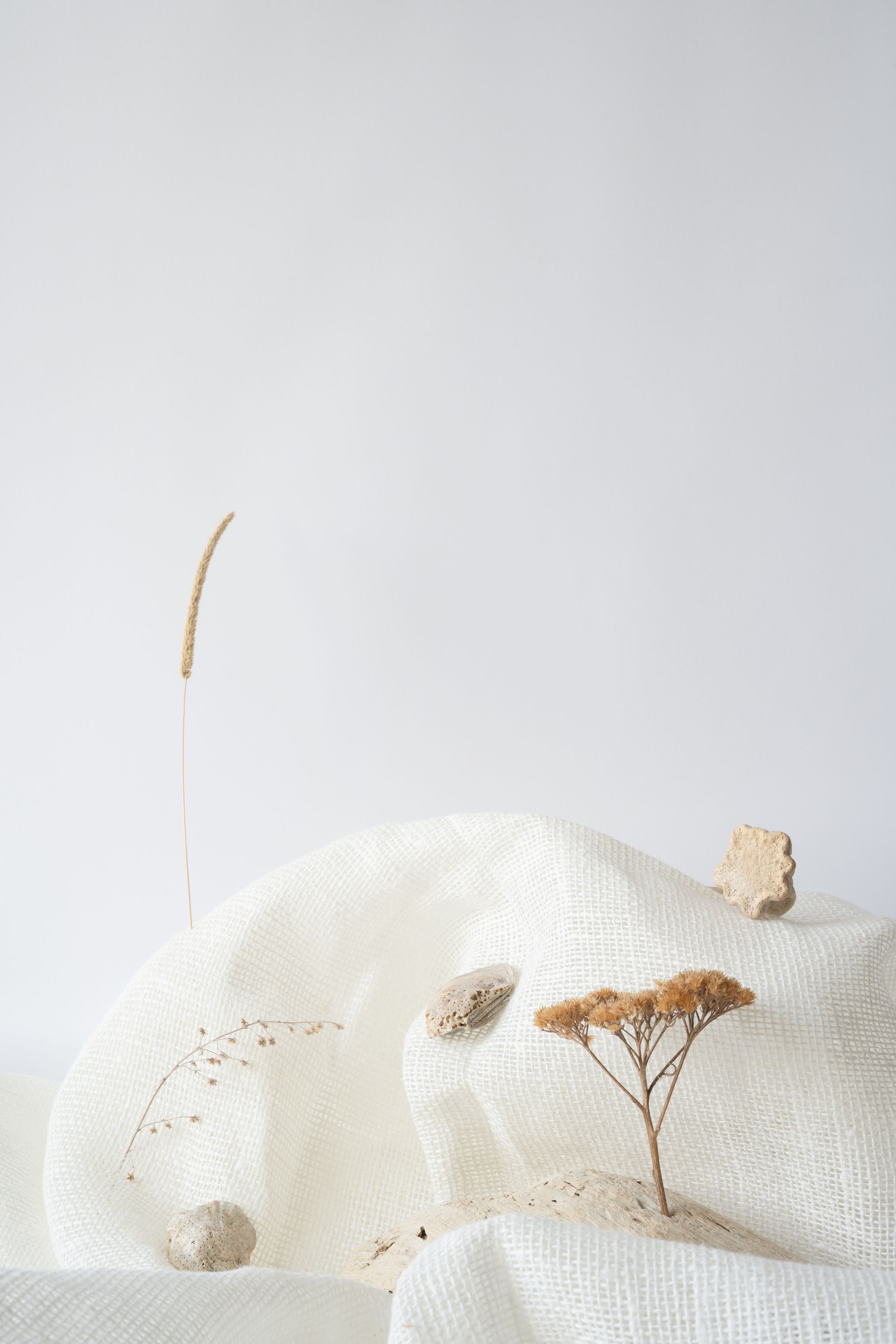 A serene still life composition featuring dry plants, stones, and a white fabric background.
