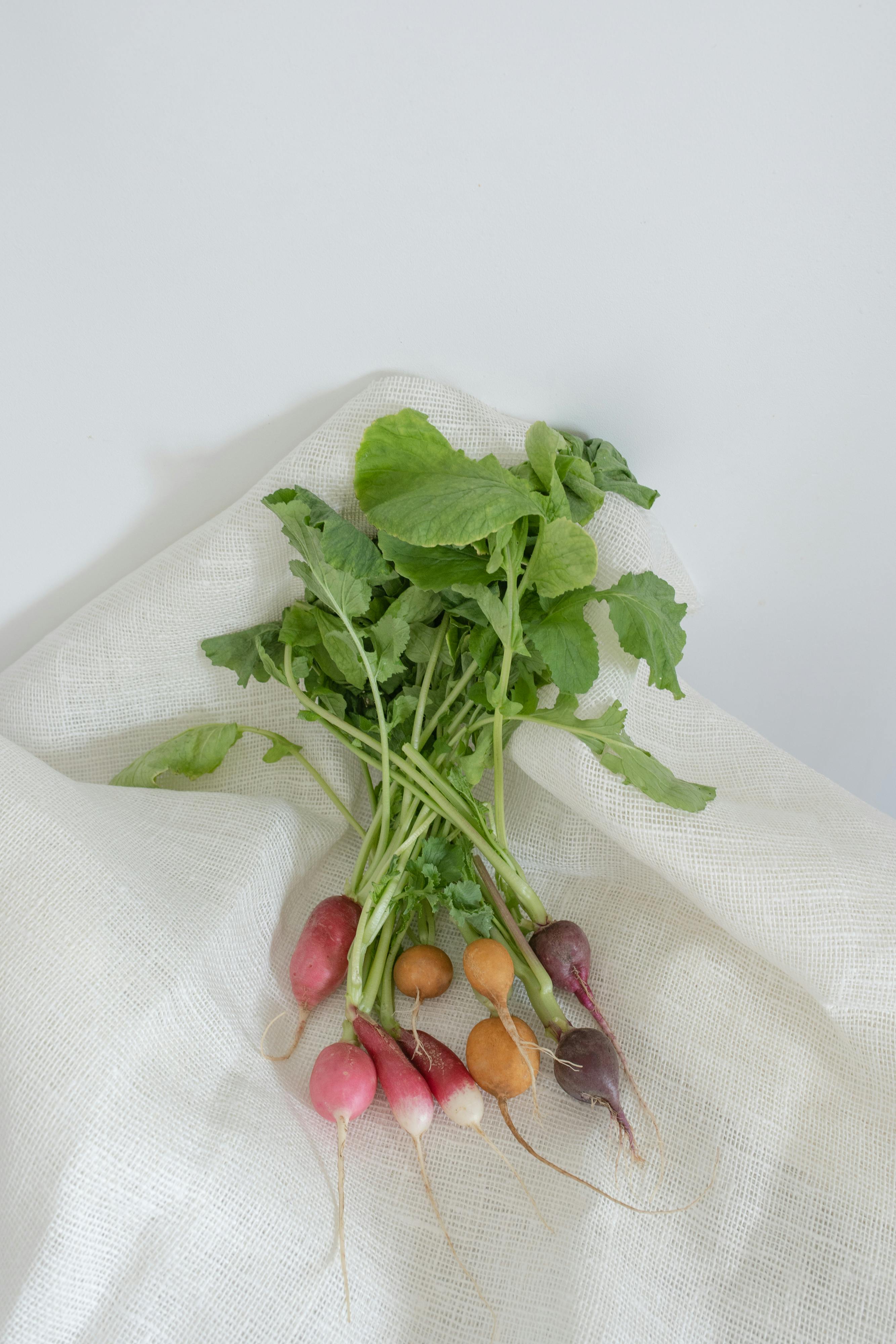 Top view of multicolored radishes arranged on white fabric, showcasing their vibrancy.
