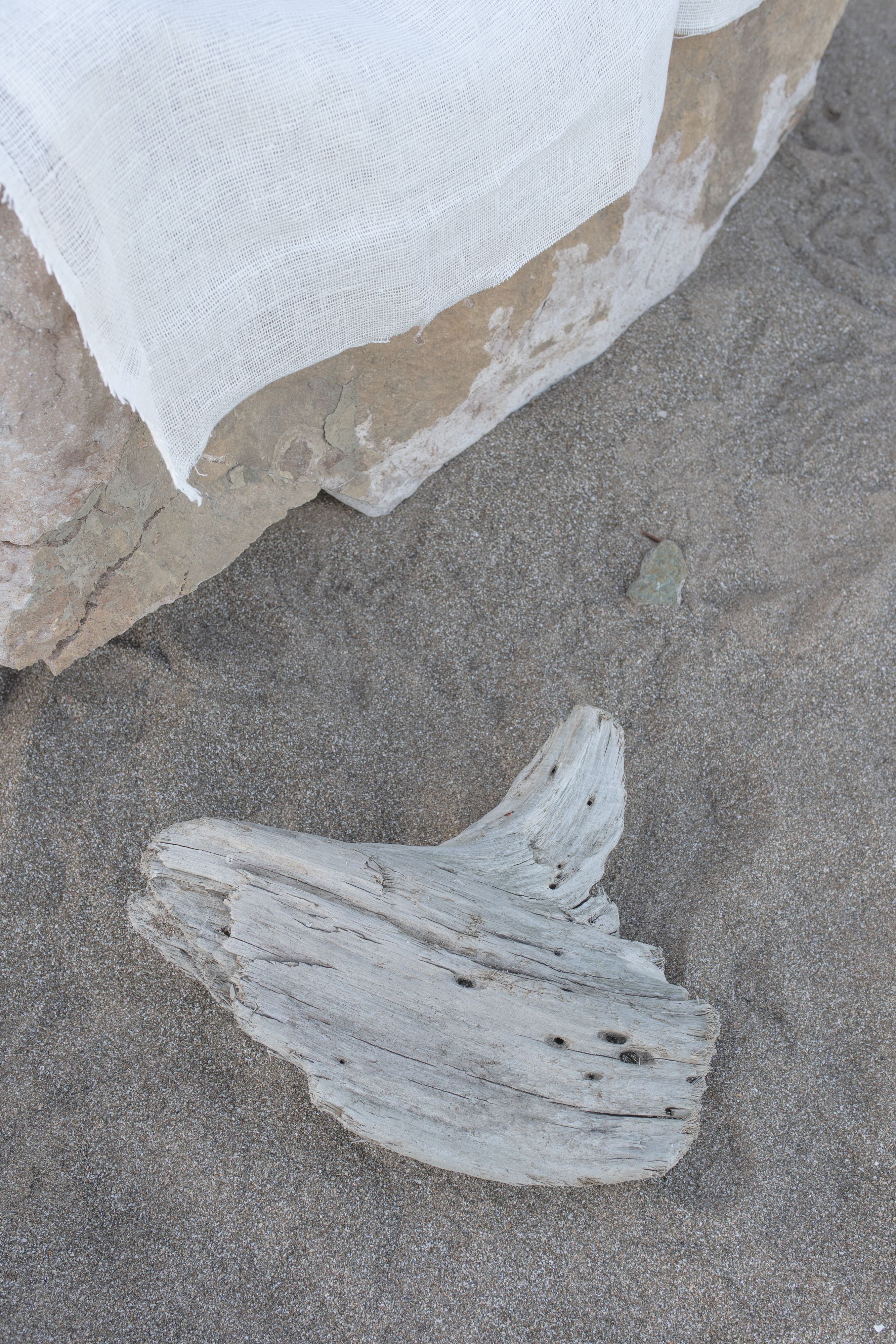 Bois flotté sur sable de plage, décoration naturelle côtière