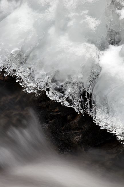 The Science Behind Cold Exposure and Its Impact on Energy Levels and Muscle Repair