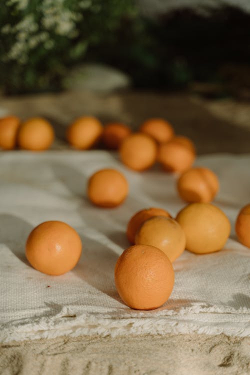 Základová fotografie zdarma na téma citrusové ovoce, detail, pomeranče