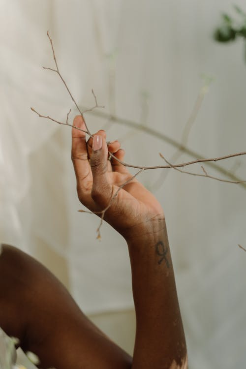 A Person Holding a Branch