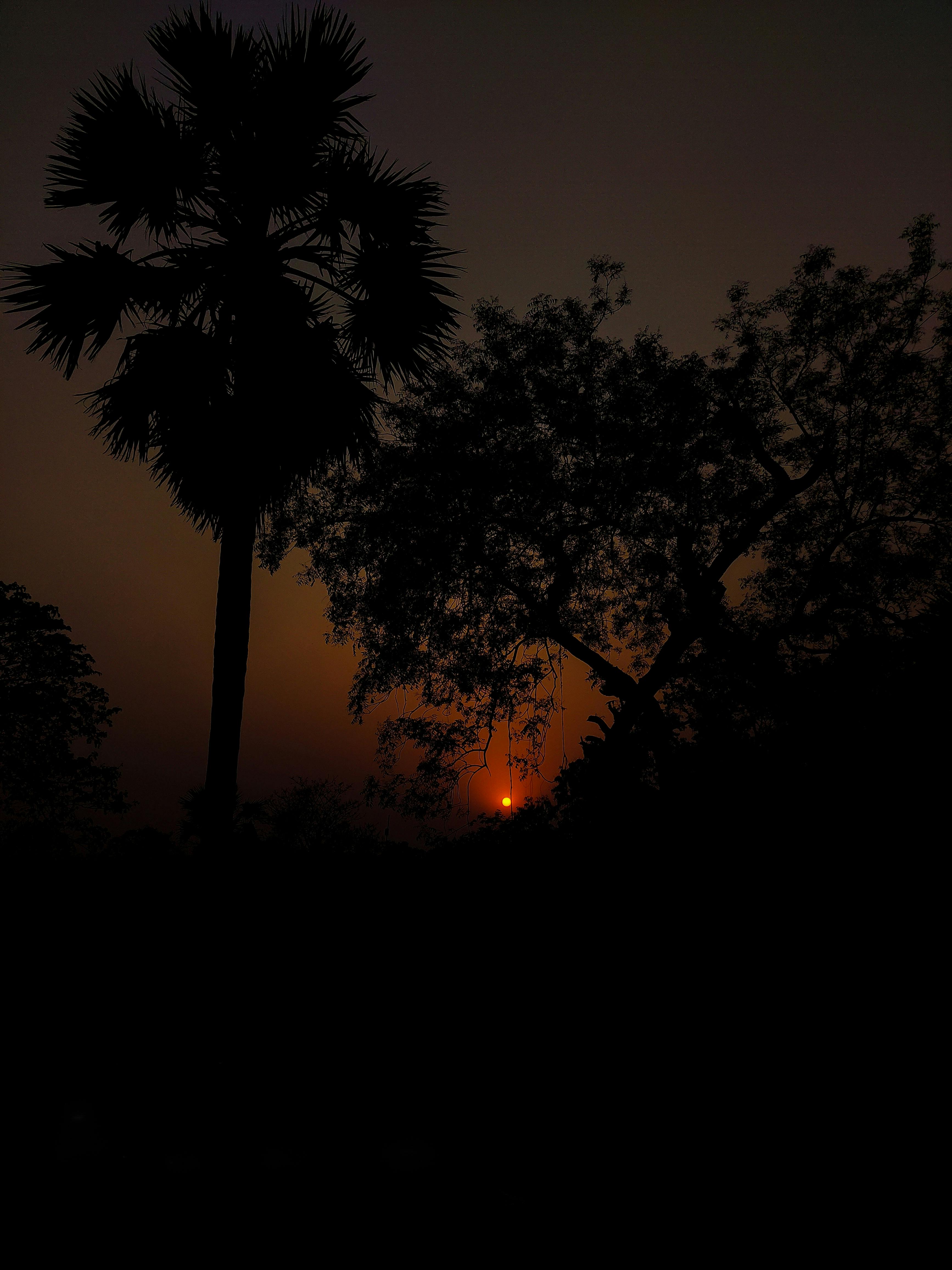 Woman sleeping comfortably on her back in a tidy bedroom