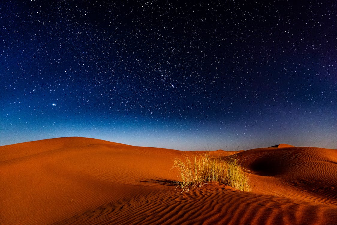 Stars over Desert · Free Stock Photo