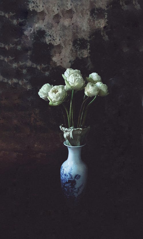 White Flowers · Free Stock Photo