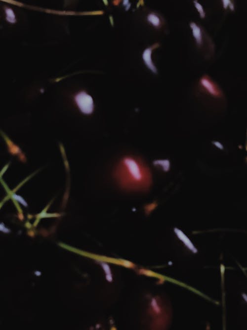 Free stock photo of berry, cherries, cherry