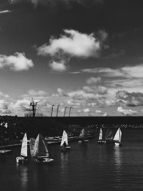 Sailboats Sailing on the Bay