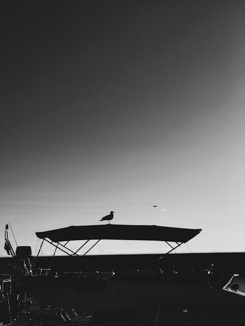 A Silhouette of a Bird Perched on the Roof of a Boat