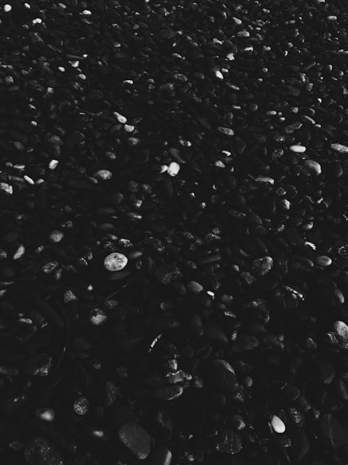 Free stock photo of black and white, stones