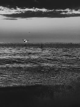 Grayscale seascape with birds flying over the ocean at sunset, capturing a serene natural moment.