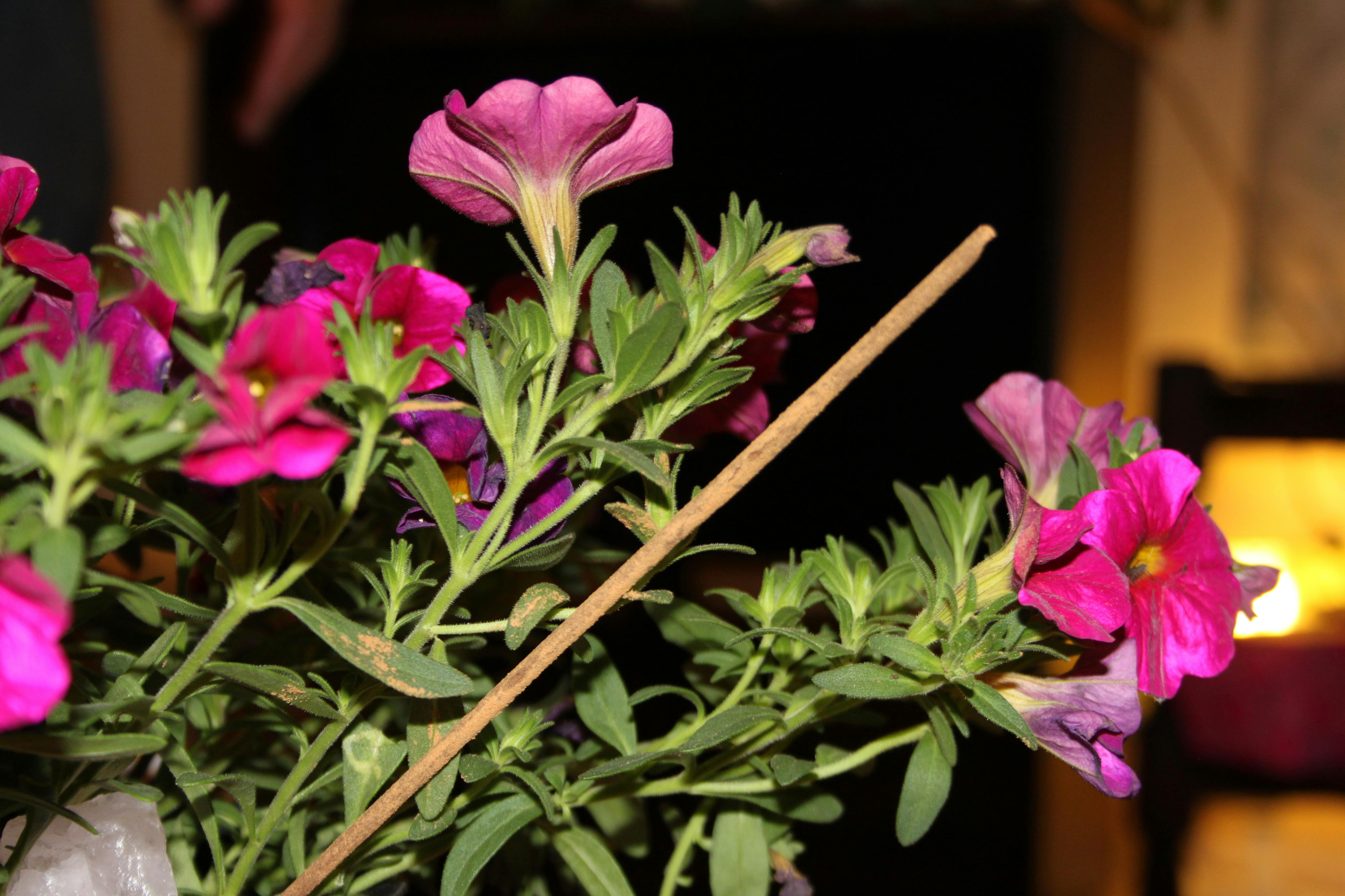 Криптовалютный брокеридж: особенности и преимущества