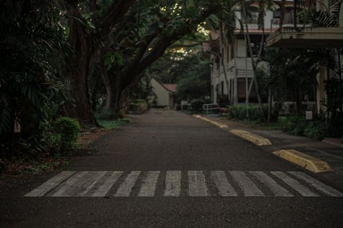 Free A peaceful urban street lined with trees and buildings features a zebra crossing. Stock Photo