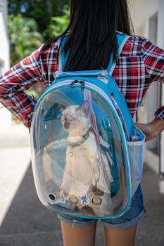 A woman carrying a cat in a transparent backpack outdoors in daylight.